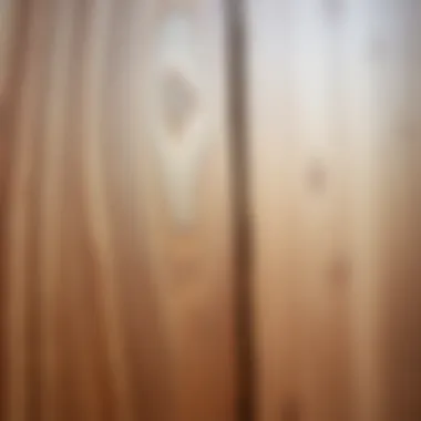 Detailed view of wood grain before painting