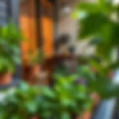 Aesthetic balcony transformation with plants