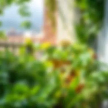 Lush green balcony garden with various plants