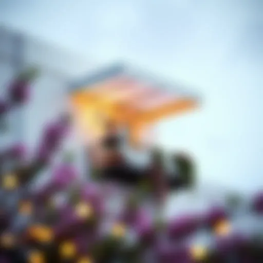 Stylish balcony with a decorative canopy