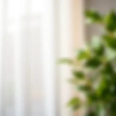 Revitalized White Fabric After Stain Treatment Freshly treated white fabric without stains