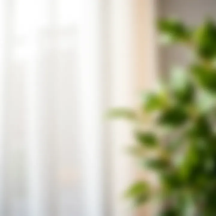 Revitalized White Fabric After Stain Treatment Freshly treated white fabric without stains