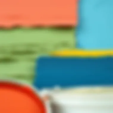 Close-up of paint texture and finish variations