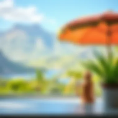 A scenic view through clean glass