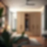 Elegant modern wardrobe design