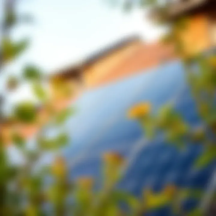 Eco-friendly solar panel installation