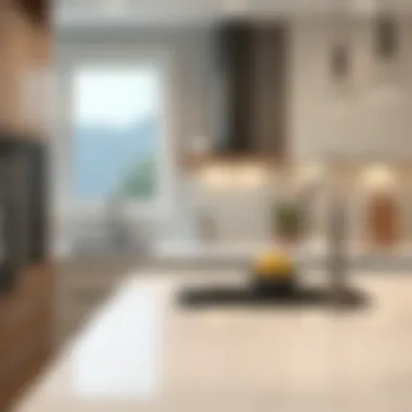 Elegant material choices for countertops