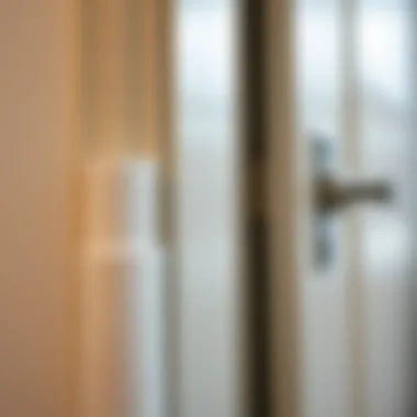 Soundproofing Materials on Door Edges A close-up view of a door with soundproofing materials applied around the edges.