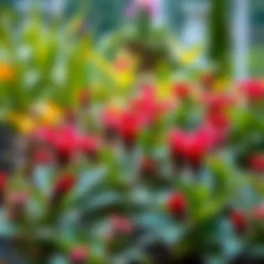 Seasonal Plants in a Vibrant Garden A vibrant garden showcasing seasonal plants in harmony with nature