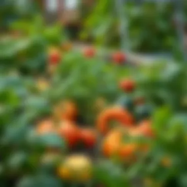 A lush garden showcasing various vegetables at different growth stages