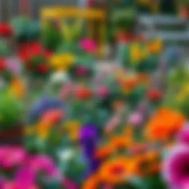 A colorful garden filled with various plants and flowers, perfect for gardening enthusiasts