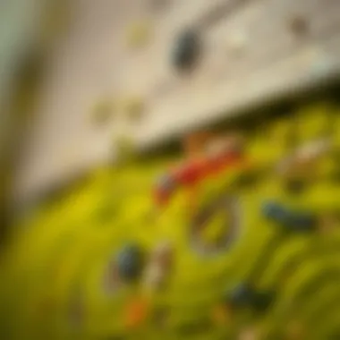 Preventive measures against ants