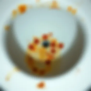 Rust Stains in a Toilet Bowl Close-up of rust stains inside a toilet bowl