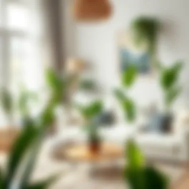 An aesthetically pleasing arrangement of plants in a living room