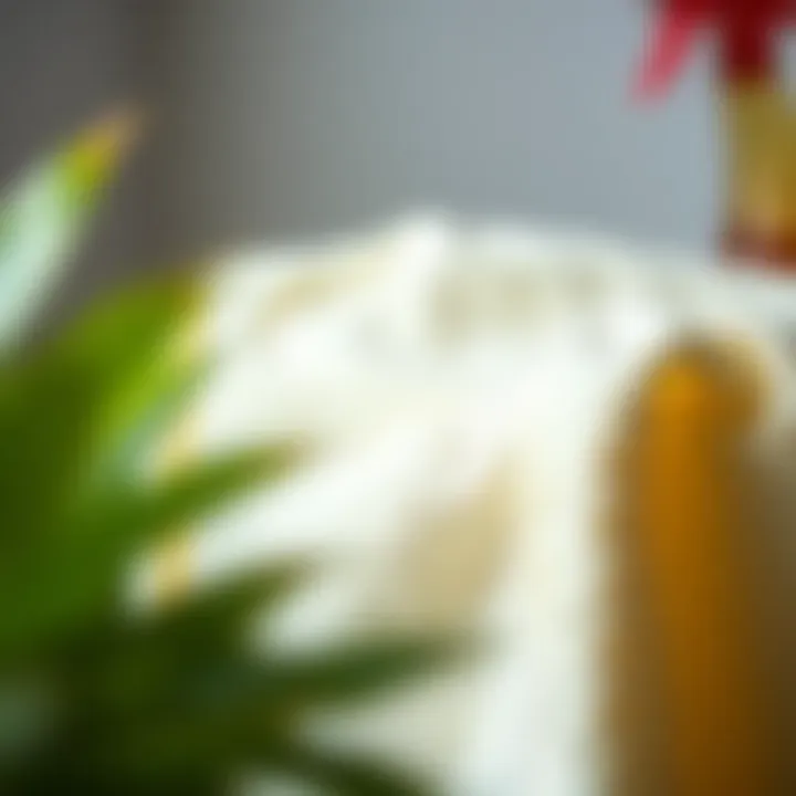 A pristine, stain-free piece of cloth after cleaning