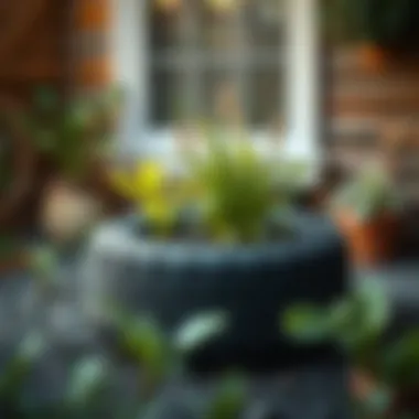 Step-by-step guidance for DIY tire planter