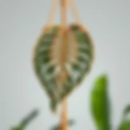 Intricate macrame leaf design showcasing nature's beauty
