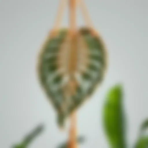 Intricate macrame leaf design showcasing nature's beauty