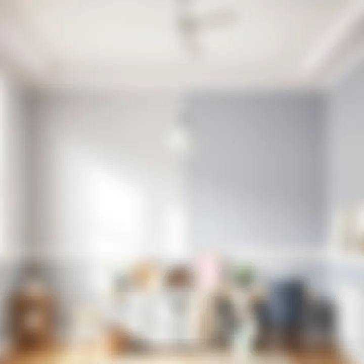 Before and after application of ceiling and wall paint