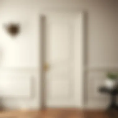 Elegant panel door with a fresh coat of paint