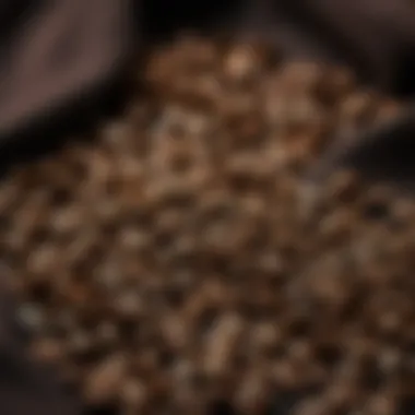 Coffee beans scattered on a rich, dark fabric