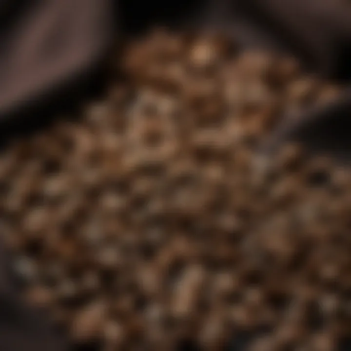 Coffee beans scattered on a rich, dark fabric