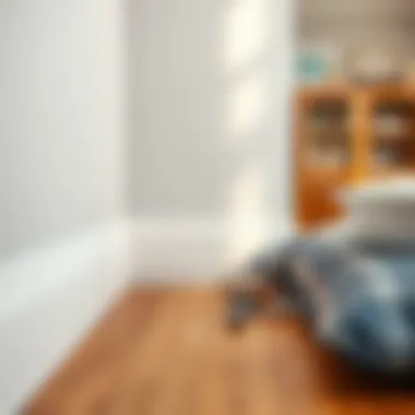 Skirting board installation showcasing precision