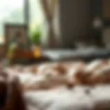 Effective natural remedies for bed bug infestation