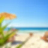 A scenic beach view with clear blue skies and gentle waves.