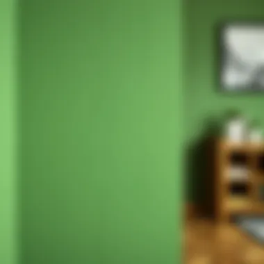 Detail view showcasing the beauty of textured green paint on walls. Close-up of textured green paint