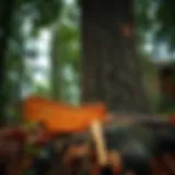 Determining the direction for tree felling